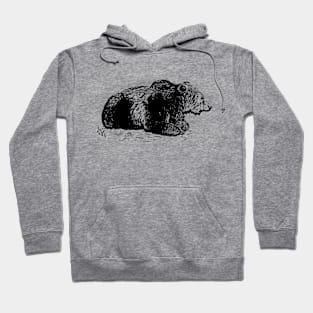 Lying bear Hoodie